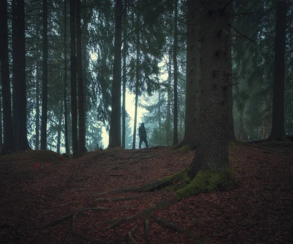 Silhouette Man Gloomy Dark Northern Forest Evening Fog — Stock Photo, Image