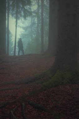 Gecenin mavi sisinde kasvetli, siyah kuzey ormanında büyük bir adamın karanlık silueti.