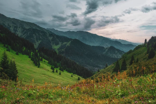 Horská Večer Krajina Butakovskoe Rokle Almaty Kazachstán Zailiysky Alatau Range — Stock fotografie