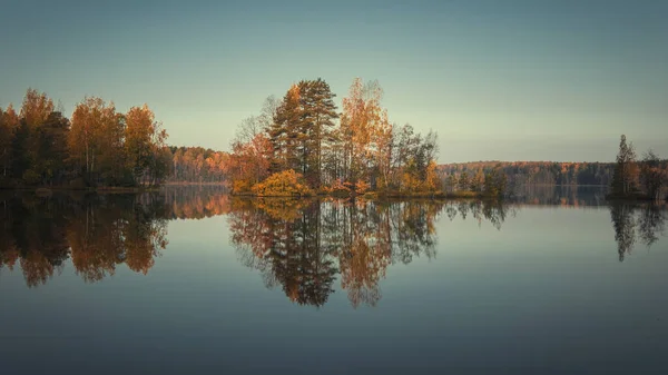 Isola Forest Lago Durante Mattina Autunno Dorato — Foto Stock