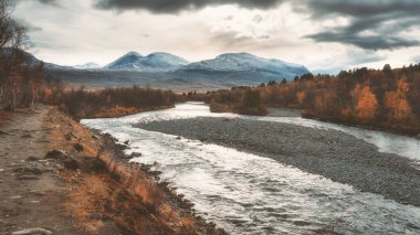 Kuzey İsveç 'te Abisko Ulusal Parkı' nda altın sonbahar akşamı