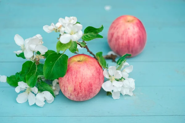 Roze Appels Met Bloeiende Lentebloemen Een Blauwe Houten Achtergrond — Stockfoto