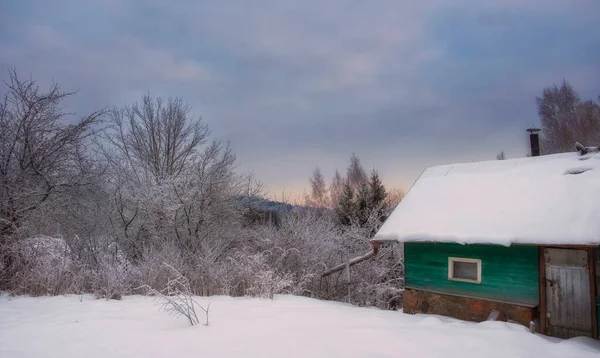 Bad Naast Winter Besneeuwd Bos — Stockfoto