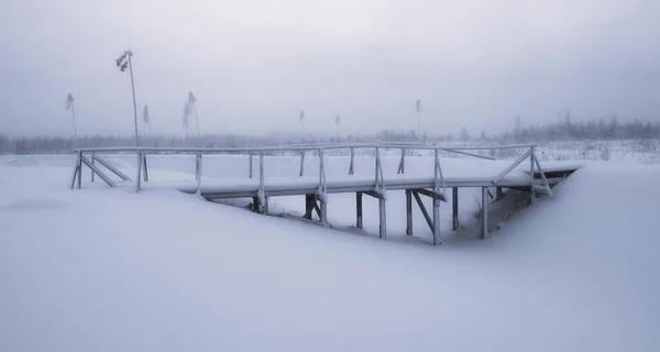 Bevroren Brug Het Winterbos Een Sneeuwval Met Sneeuwverschuivingen — Stockfoto