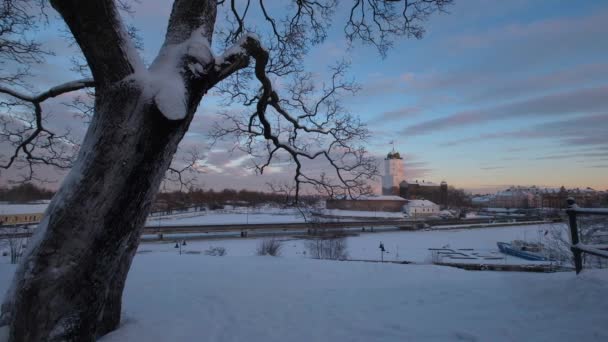 芬兰湾上的一座美丽的背景树 位于维堡市的城堡 冬季日落时分 — 图库视频影像