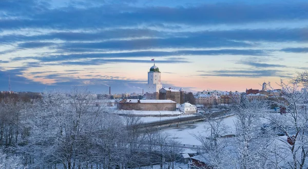 Vyborg şehrindeki şato, kışın, en üst manzara