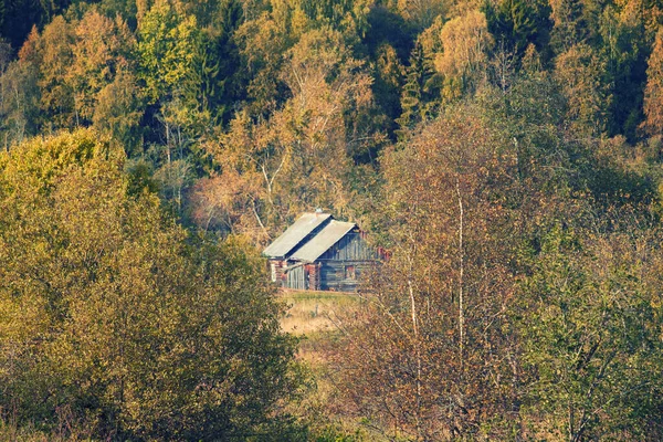 Case Legno Vicino Alla Foresta Autunnale Nella Foresta Vepsky Regione — Foto Stock