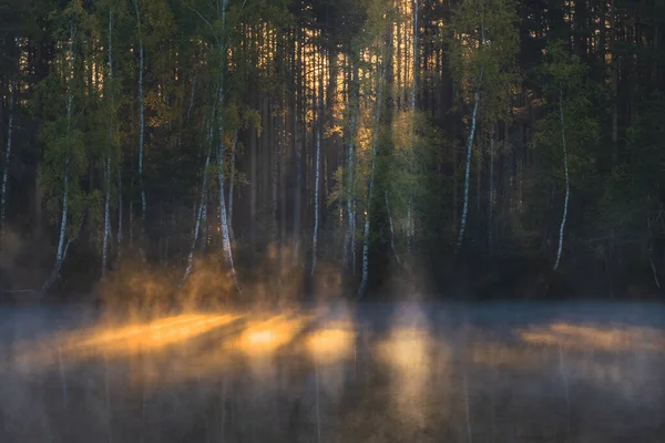 湖の霧に包まれた森の中で太陽の光が差し込み — ストック写真