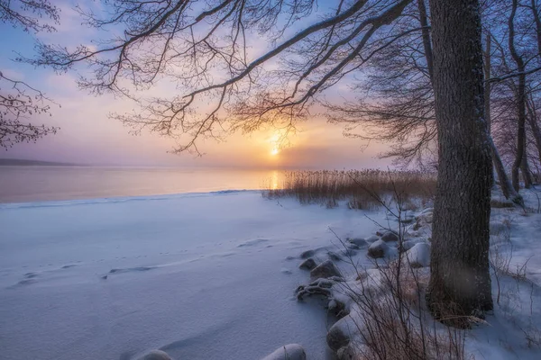 Aquarell Wintersonnenuntergang Nebligen See Ufer Des Vuoksa Sees Leningrader Gebiet — Stockfoto