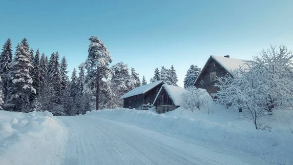 Vuile Sneeuwweg Het Platteland Winter Buurt Van Het Bos — Stockfoto
