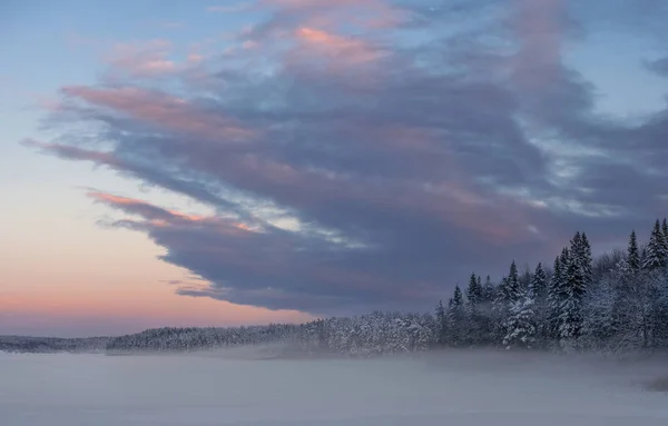 Blizzard Hivernal Coucher Soleil Près Une Forêt Dans Nord Europe — Photo