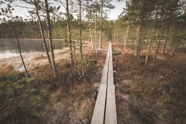 Drewniana Ścieżka Między Jeziorami Dwóch Sióstr Parku Narodowym Bagien Lammin — Zdjęcie stockowe