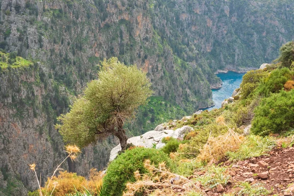 Village Edge Canyon Valley Butterflies Beach Village Faralya Turkey — Stock Photo, Image