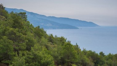 Türkiye 'de Akdeniz' in arka planında çam ormanlarıyla kaplı dağ yamaçları