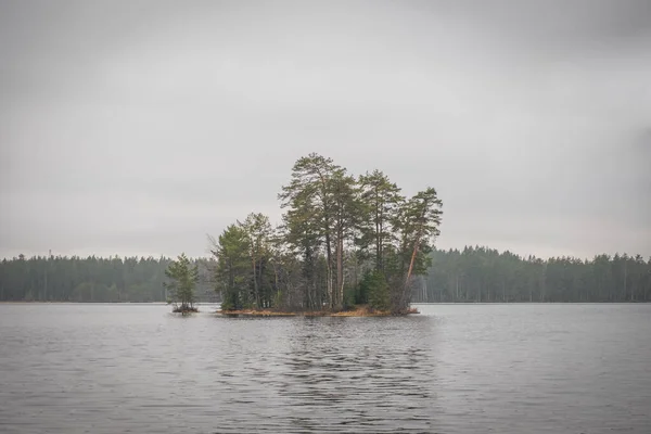 Île Bord Lac Dans Les Bois Novembre Automne Temps Sombre — Photo