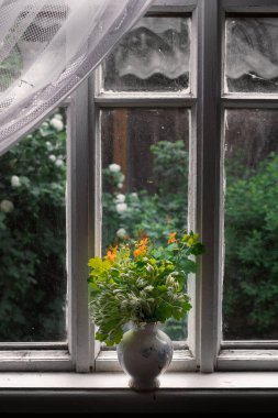 Beyaz çiçekler kümes hayvanları ve sarı St. John otları yazın bir köyün pencere eşiğindeki vazoda.