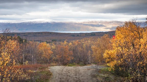 Road Abisko National Park Polar Sweden Golden Autumn — Stock Photo, Image