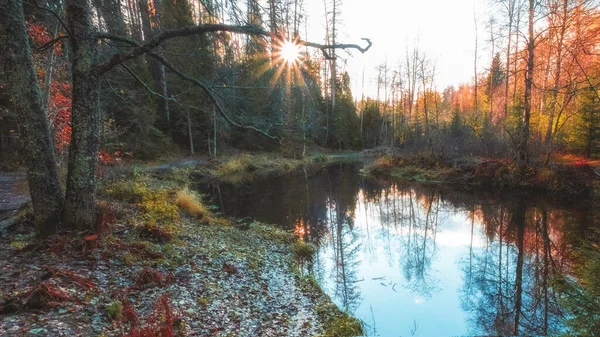 Río Roshinka Lindulovskaya Arboleda Día Soleado Otoño — Foto de Stock