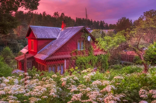 Rusya Leningrad Bölgesi Rusya Tipik Bir Banliyö Ahşap Evi Yazın — Stok fotoğraf