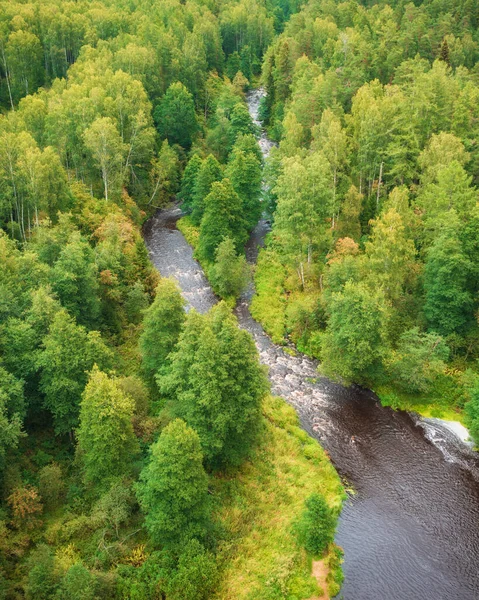 Río Bosque Lindulovskaya Arboleda Istmo Carelia Vista Superior Desde Dron — Foto de Stock