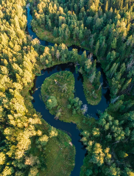 Río Bosque Forma Bucles Yin Yang Lindulovskaya Arboleda Istmo Carelia — Foto de Stock