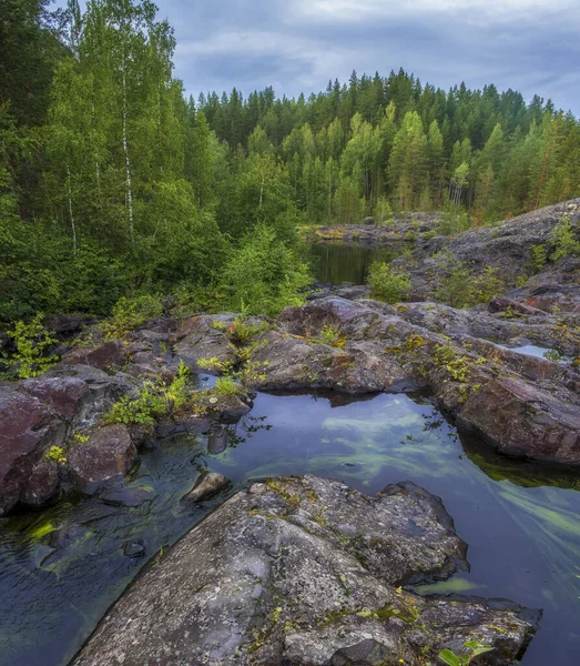 Зелені Водорості Воді Бідолашному Порозі Річці Суна Карелія Російському Ландшафтному — стокове фото