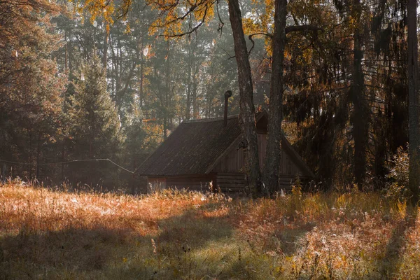 Sonbahar Ormanında Güneşli Bir Çayırda Küçük Bir Ahşap Kulübe — Stok fotoğraf
