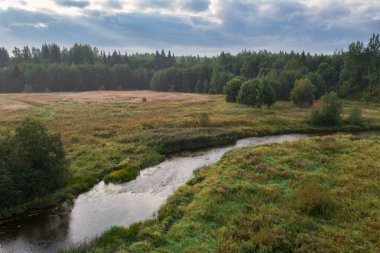 Ormanın yakınındaki bir tarlada küçük güzel bir nehir. Yaz manzarası. Lemovzha, Volosovsky Bölgesi, Leningrad Bölgesi Rusya. 