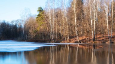 Sonbaharın sonlarında güneşli bir günde ormandaki göl üzerindeki ilk kar ve buz. 