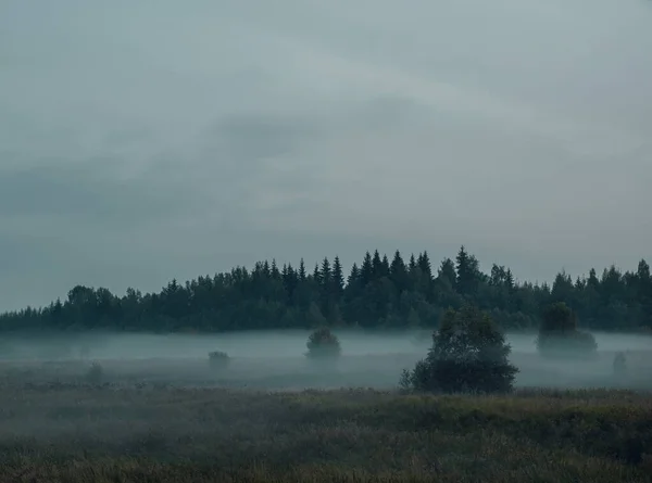 森の近くに畑がある青い霧の秋の朝の風景 — ストック写真