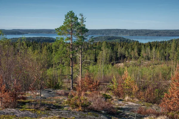 Top Mount Hiidenvuori Karelia Lake Ladoga Autumn Sunny Day — Stock Photo, Image