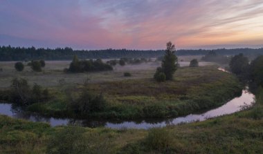 Gün batımında ormanın yakınındaki bir tarlada küçük güzel bir nehir. Yaz manzarası. Lemovzha, Volosovsky Bölgesi, Leningrad Bölgesi Rusya. 