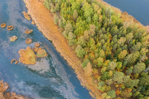 Een Herfst Noordelijk Bos Aan Een Rivier Met Kanalen Eiland — Stockfoto