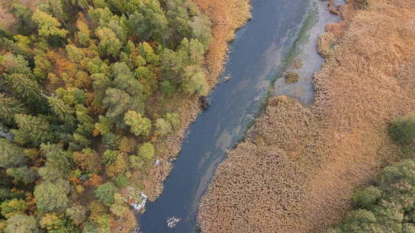 Bosque Del Norte Otoño Río Con Canales Bancos Pantanosos Las — Foto de Stock