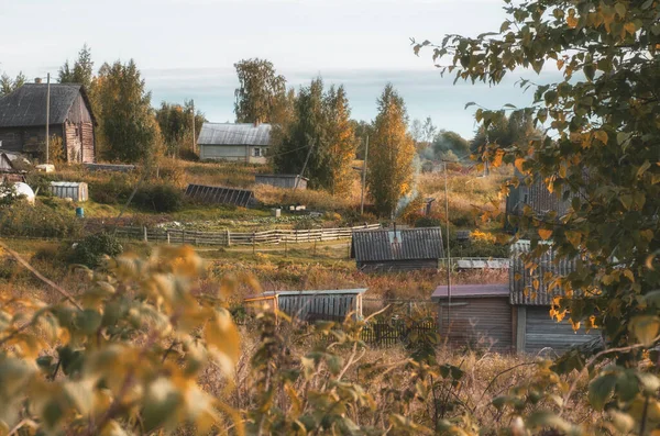 Village Traditionnel Russe Nord Cabanes Bois Bains Jardins Potagers Automne — Photo