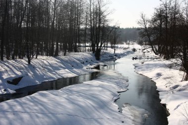Güneşli kış günü. Yaprak döken ormanın içinden Sula nehri akıyor. Buz çözülmeye başladı ve üzerinde kara lekeler belirdi..