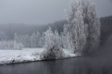 Puslu bir kış sabahı. Nehir kıyısındaki ağaçlar gümüşi bir buzulun içinde. Sihirli doğal resim.