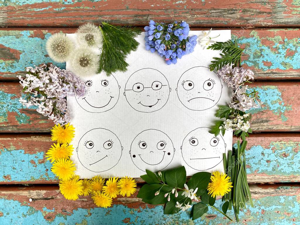 Childrens master class, application of little men with smiles and hair made of plants and flowers.