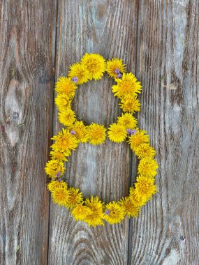 Doğal malzeme, çimen ve çiçeklerden oluşan matematiksel figürler.