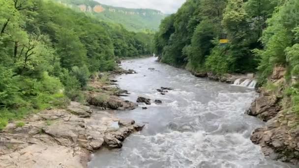 Mountain rea, um grande fluxo de água, árvores e arbustos ao longo das bordas — Vídeo de Stock