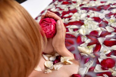 Kadın süt ve gül yapraklarıyla banyo yapıyor. Tomurcuk çiçeğiyle ellerini kapat. en üstten görünüm