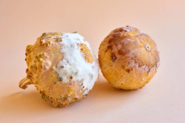 Bej arka planda beyaz ve kahverengi küflü iki balkabağı. Nasıl düzgün yiyecek depolanacağını.