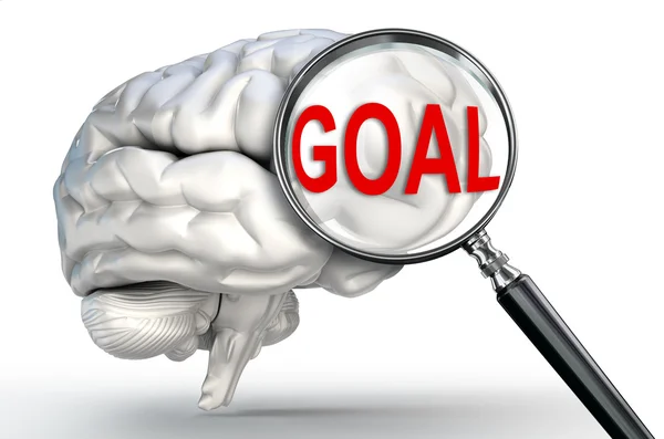 Goal word on magnifying glass and human brain — Stock Photo, Image