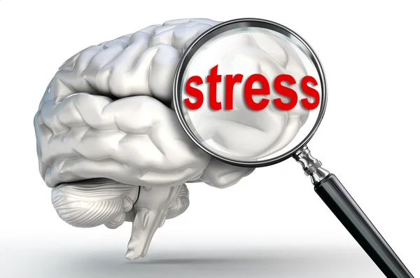 Stress word on magnifying glass and human brain — Stock Photo, Image