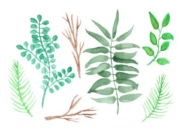 Hafif suluboya dallar ve dallar koleksiyonu