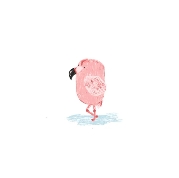 Cute szkic strony rysowane kolor flamingo ilustracji — Zdjęcie stockowe