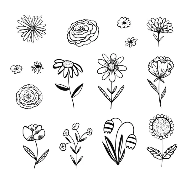 Collection de contours éléments floraux vectoriels noirs — Image vectorielle