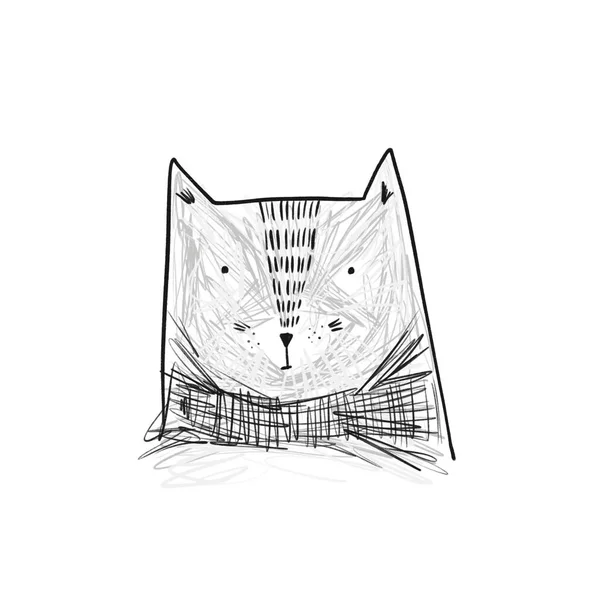 Cute sketch hand drawn cat head illustration — Stock Photo, Image