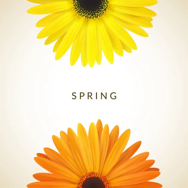 Våren blommor sammansättning. — Stock vektor