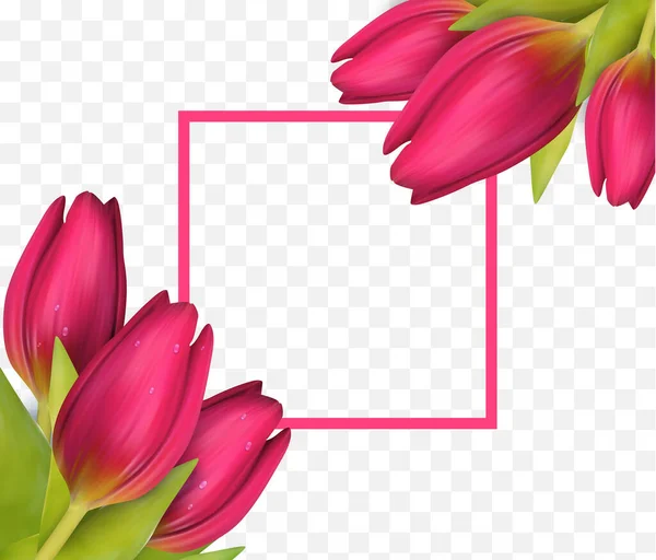 明るい春ピンクのチューリップの花のフレーム. — ストックベクタ